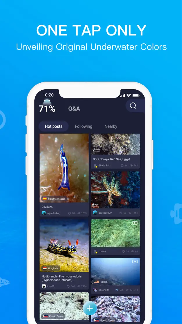 Dive+ community