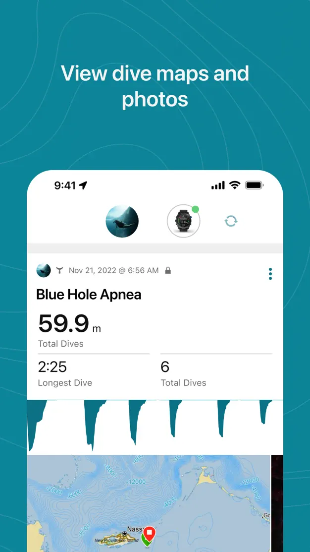 Garmin Dive dive detail