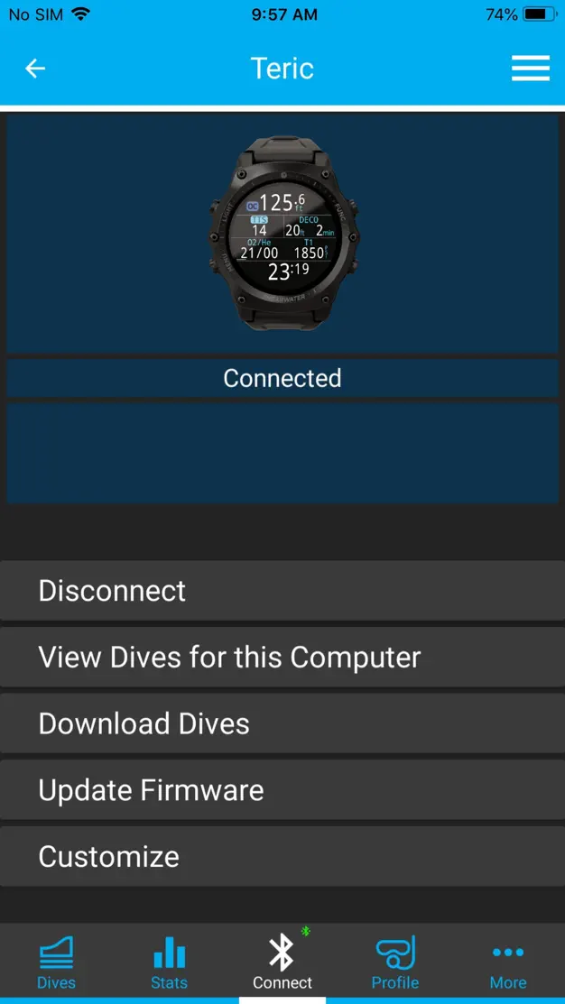 Shearwater Cloud dive profile