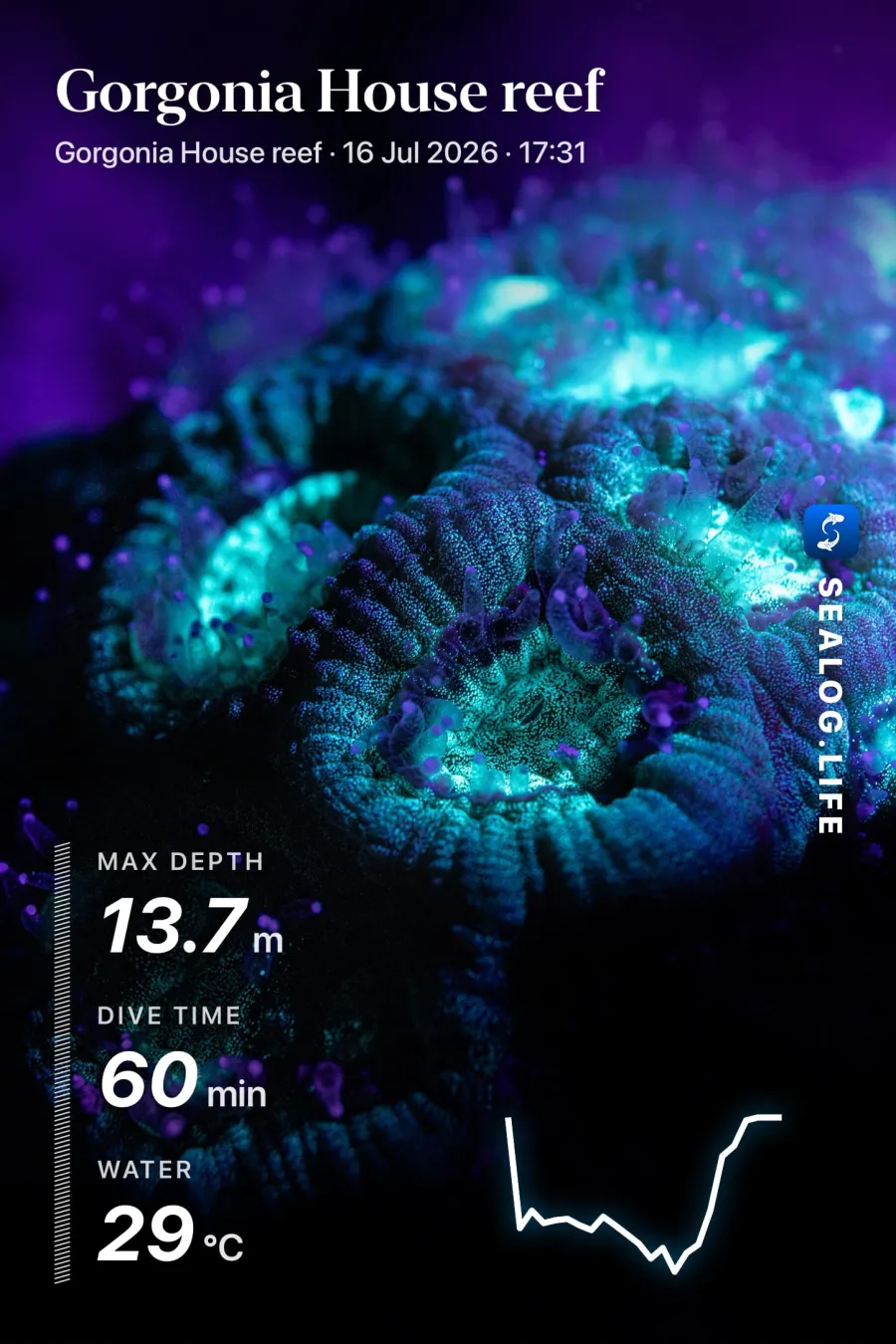A SeaLog share card: a fluorescent coral photo stamped with the dive site, date, max depth, dive time, water temperature and depth profile