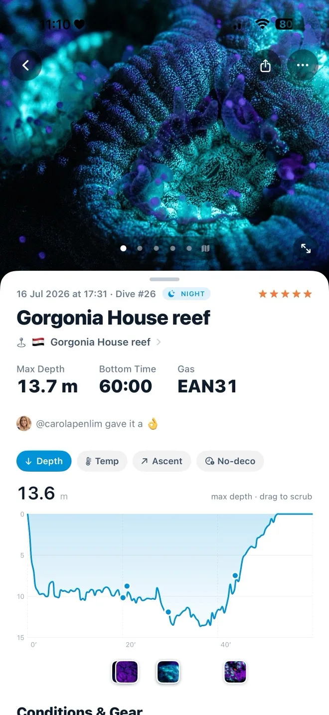 SeaLog dive detail with cover photo and scrubbable depth profile