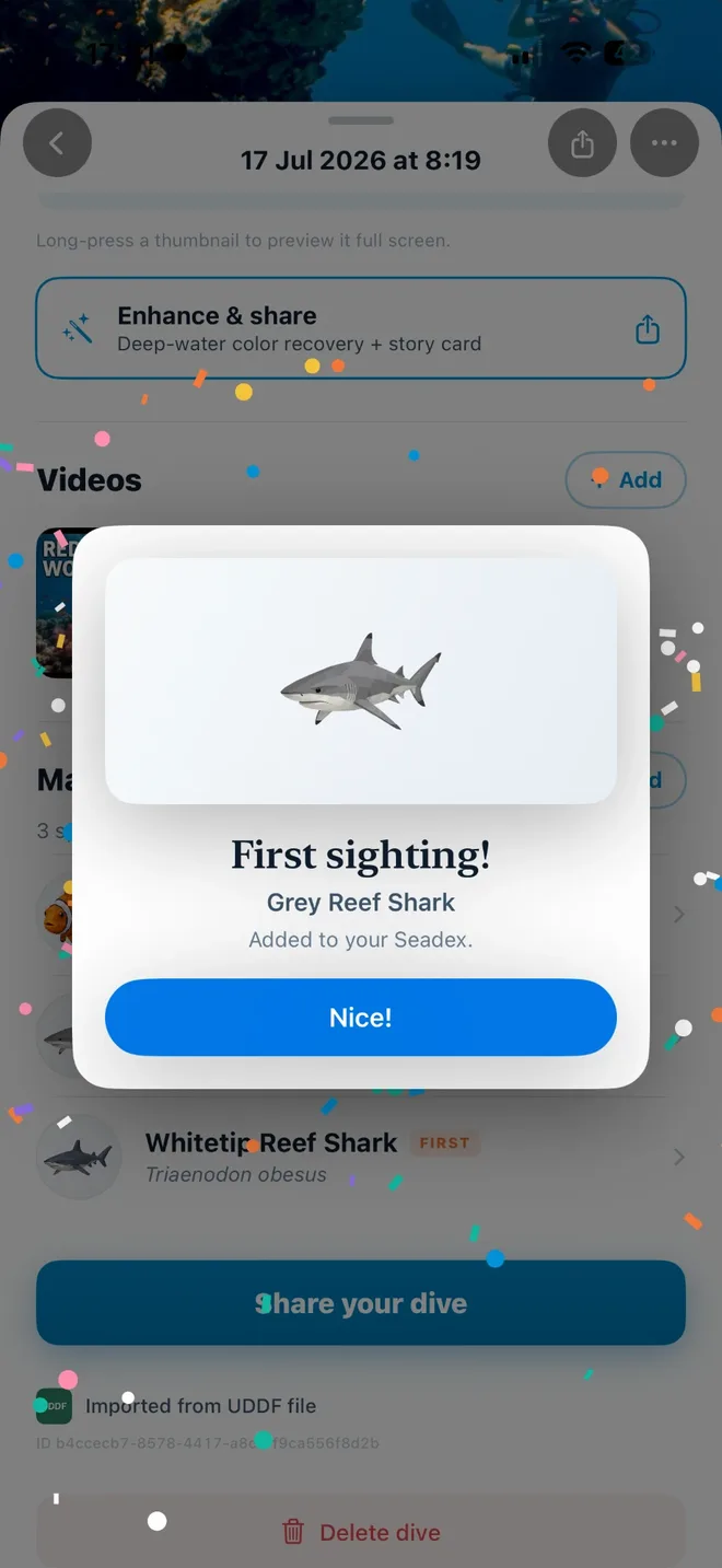 SeaLog confirming a first sighting of a grey reef shark, added to the Seadex