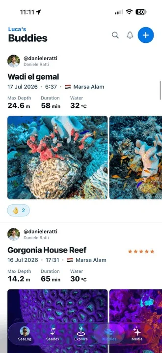 SeaLog buddies feed with dives and underwater photos